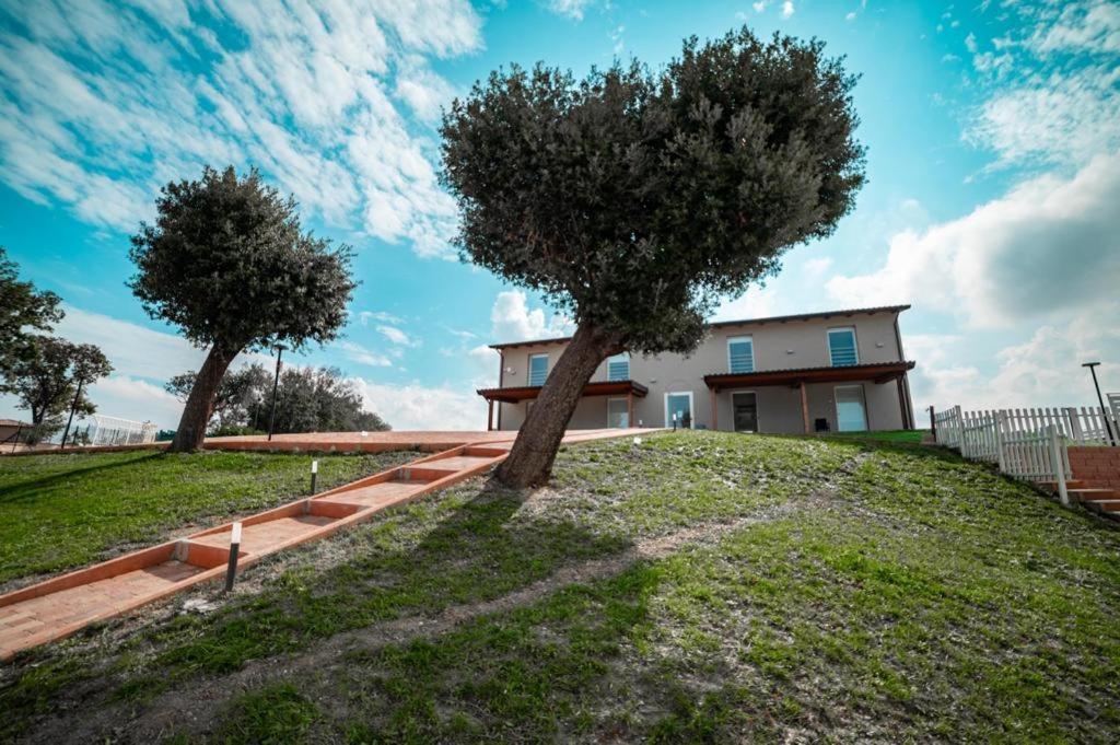 Agriturismo Il Colle Dei Lecci أنكونا المظهر الخارجي الصورة